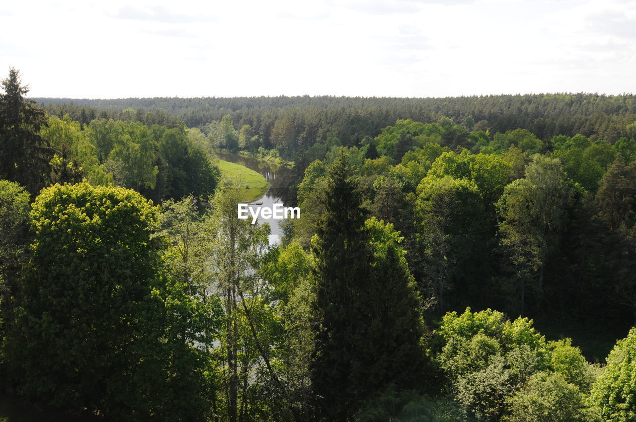 tree, nature, beauty in nature, scenics, tranquil scene, forest, tranquility, water, no people, growth, day, outdoors, lush foliage, sky, river, plant, green color, landscape, waterfall, scenery