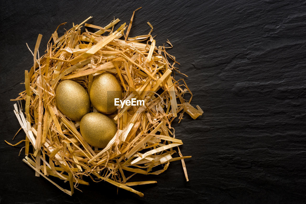Three golden eggs in the grassy nest on black slate background with copyspace