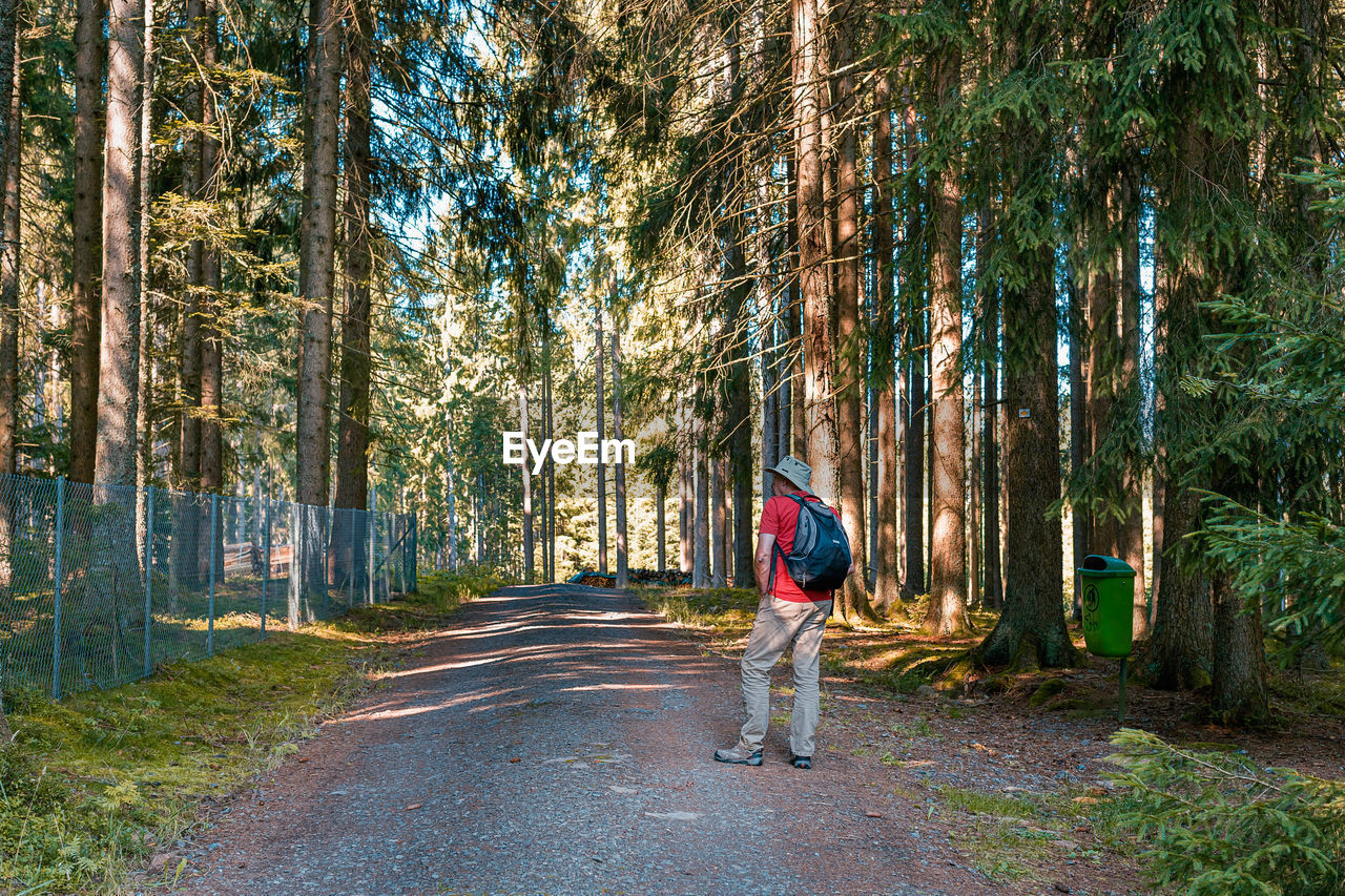 REAR VIEW OF WOMAN ON ROAD AMIDST TREES