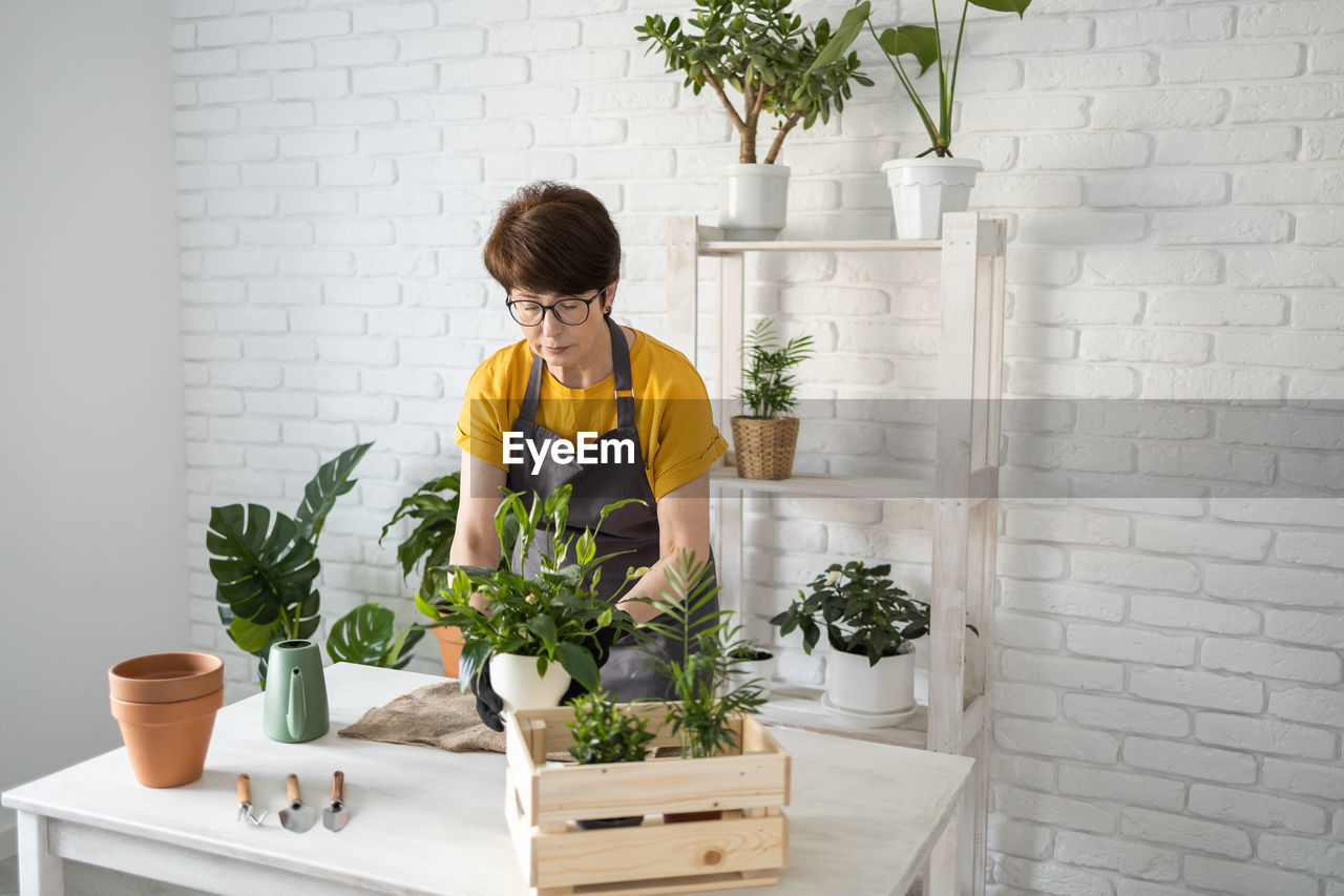 side view of woman holding potted plant against wall at home