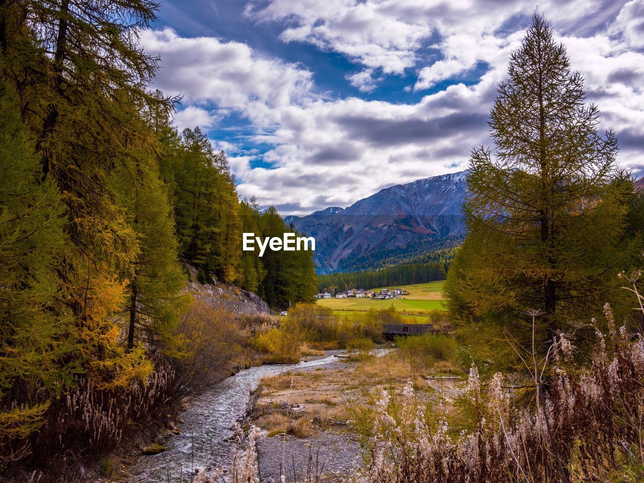 Scenic view of river amidst trees against sky