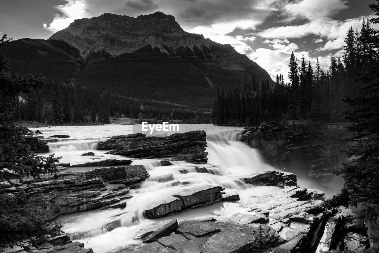 Beautiful bow lake on a sunny day, icefield parkway, banff national park, alberta, canada