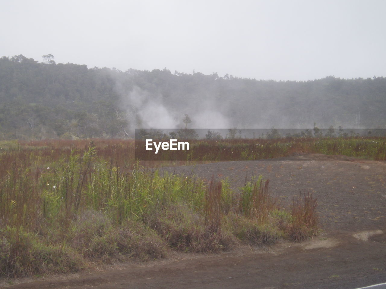 SCENIC VIEW OF FIELD AGAINST SKY DURING FOGGY WEATHER