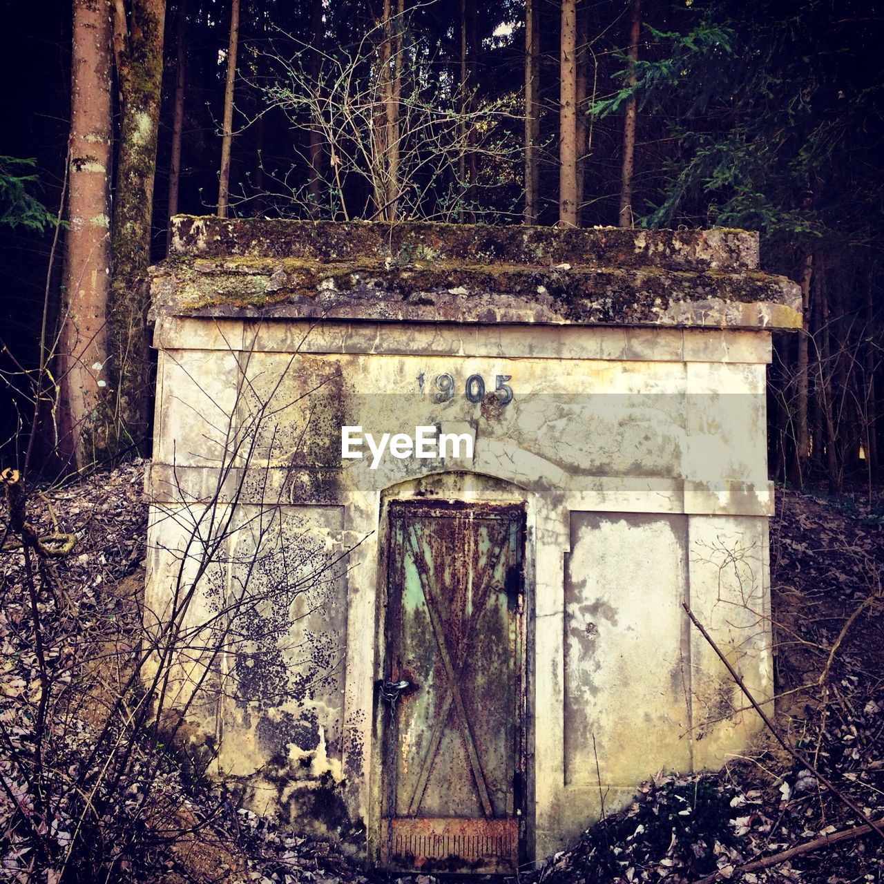 Old bunker in forest