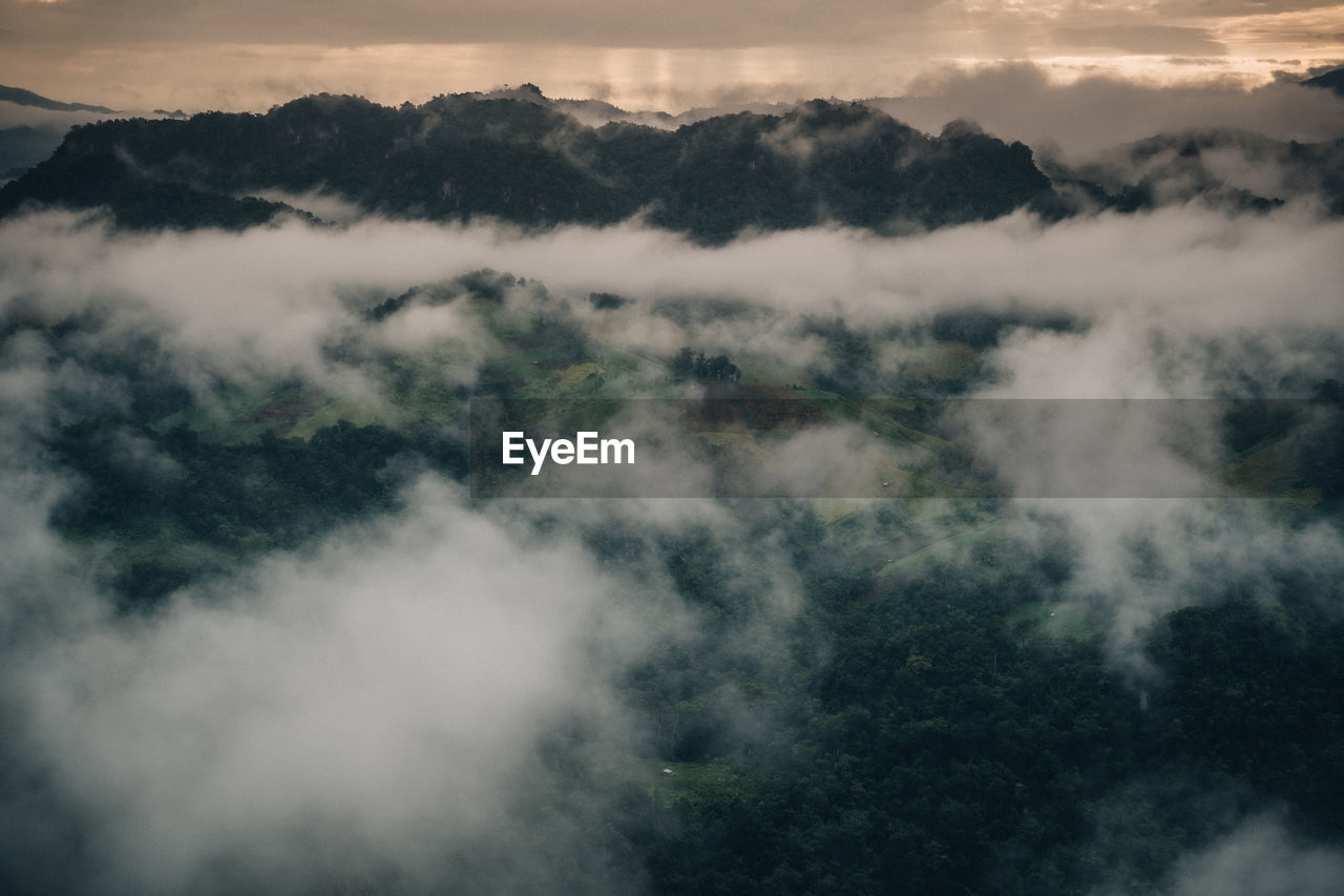 High angle view of trees against sky