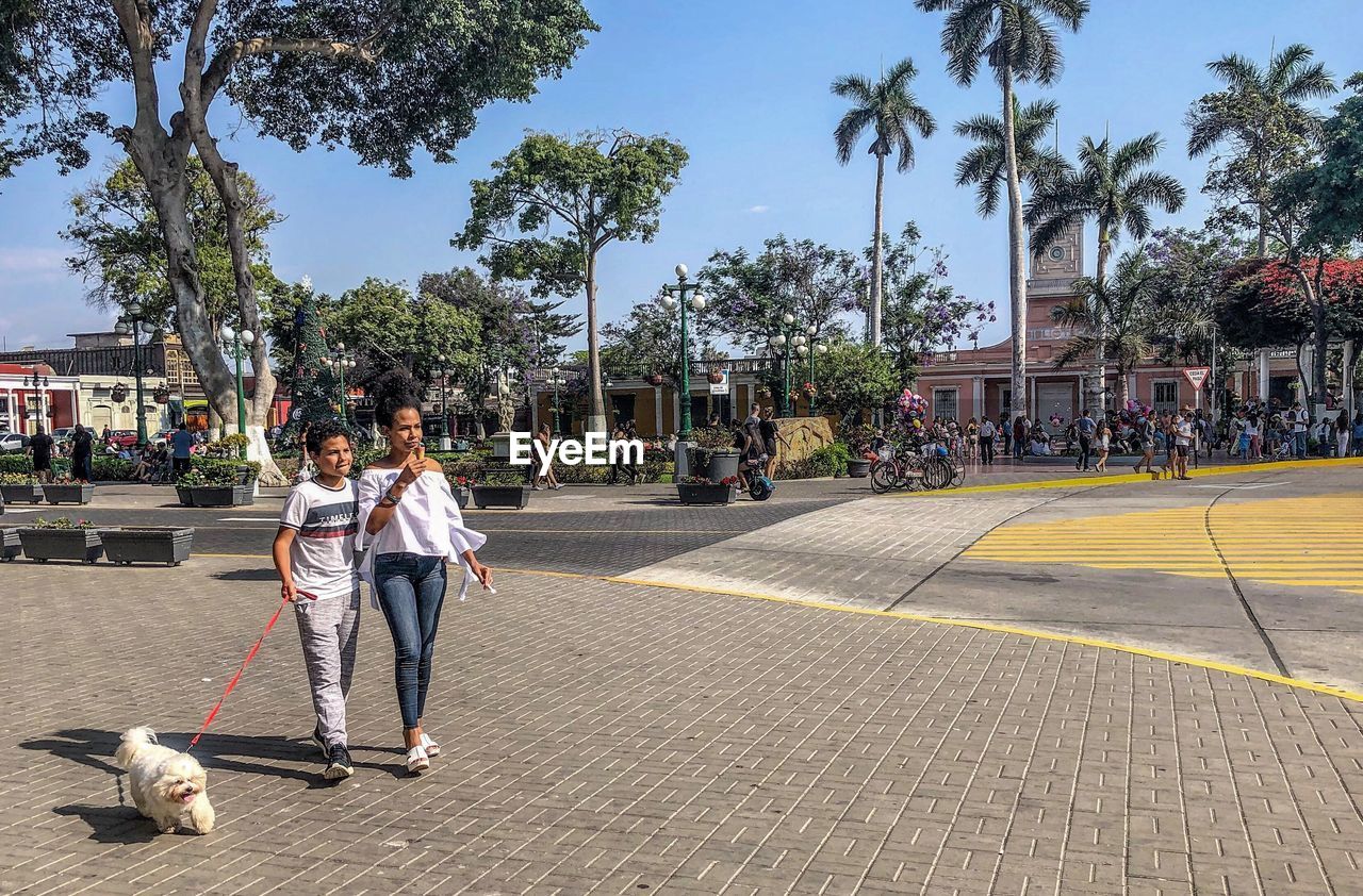 PEOPLE WALKING ON STREET AGAINST TREES AND PLANTS