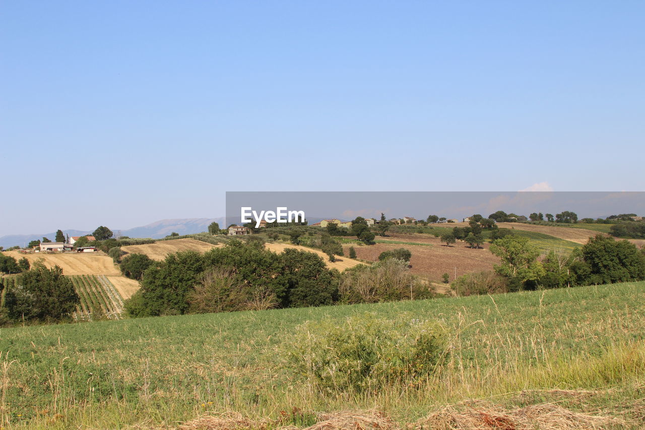 Scenic view of landscape against clear sky