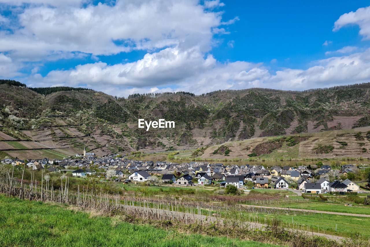 Mosel - vineyard - germany