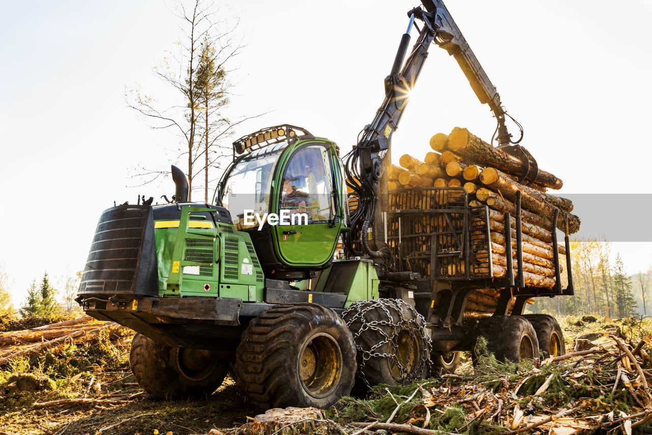 Loading logs on trailer