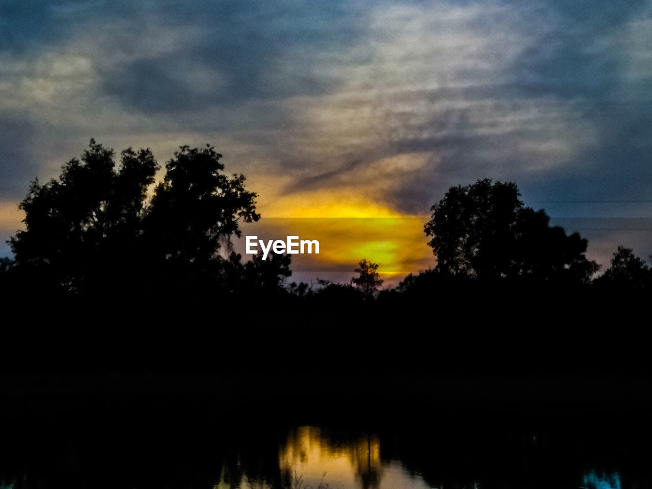 SILHOUETTE TREES AGAINST SKY DURING SUNSET