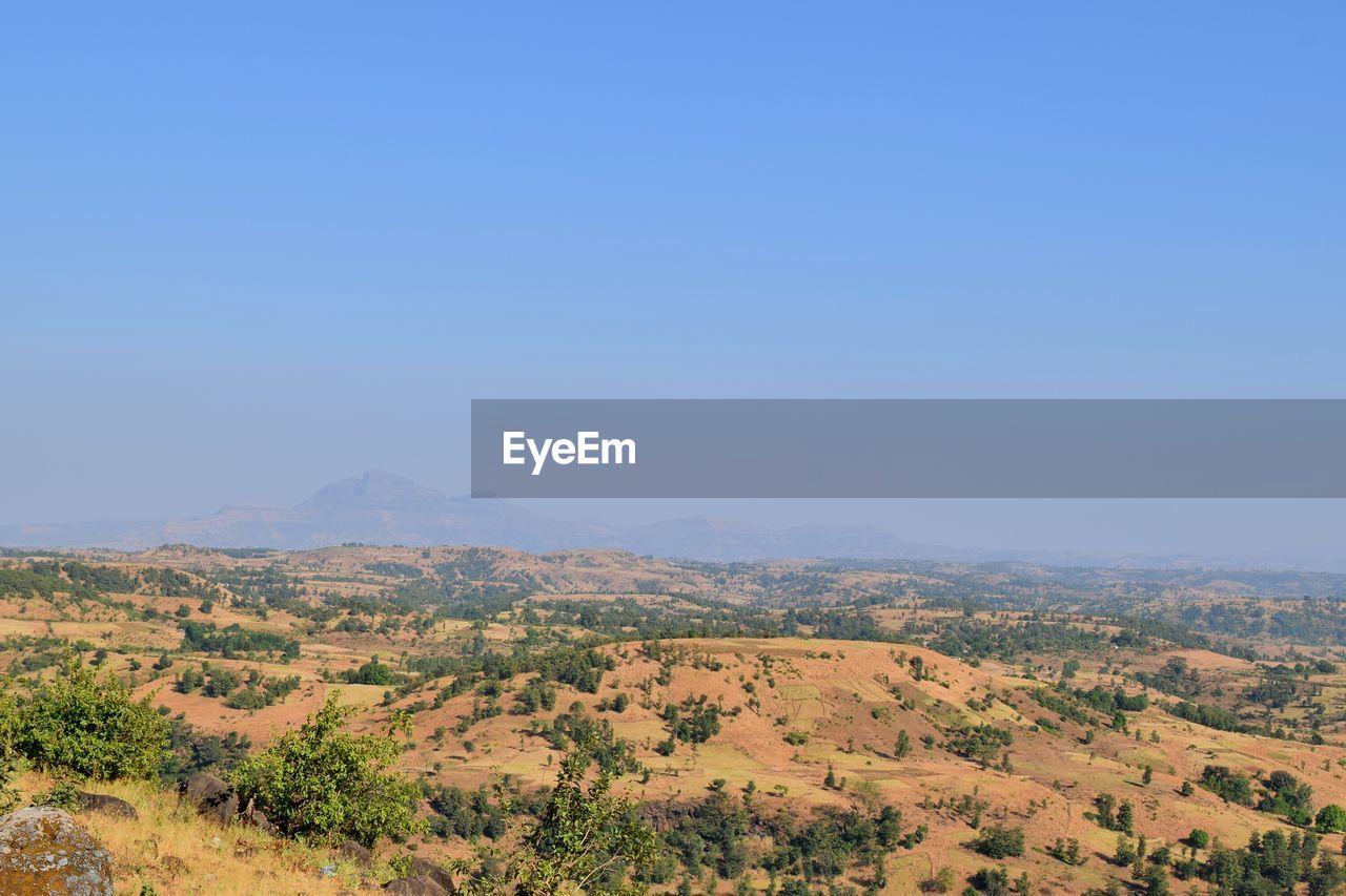 Scenic view of field against clear blue sky