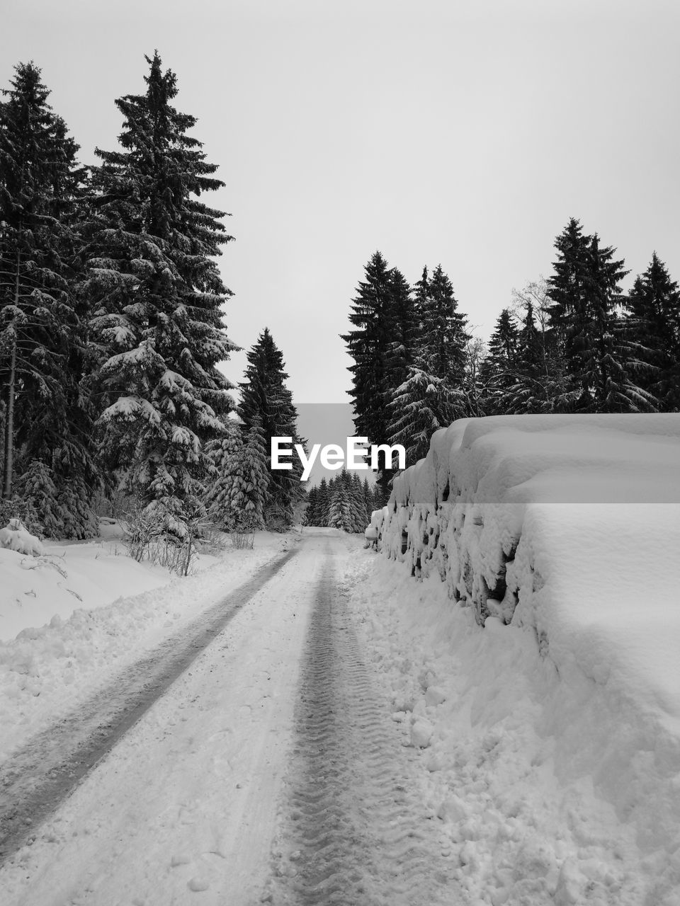 Snow covered road amidst trees against sky