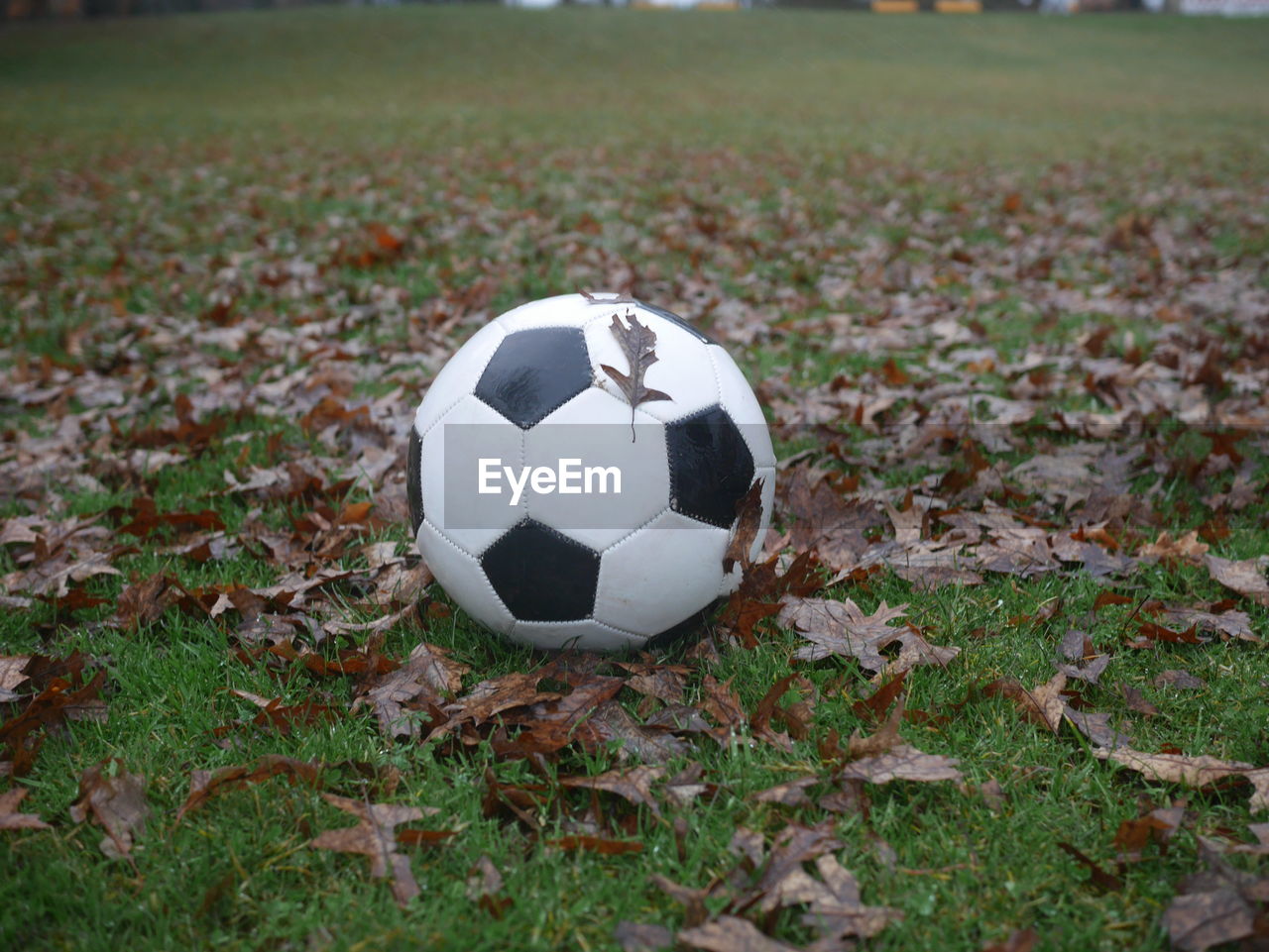 Close-up of soccer ball on footpath