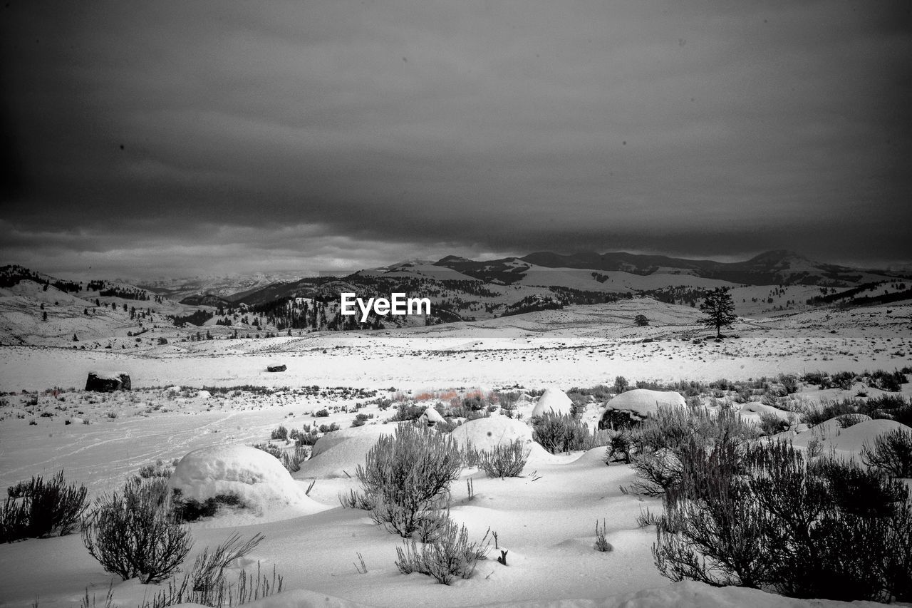 Scenic view of snowcapped field against sky