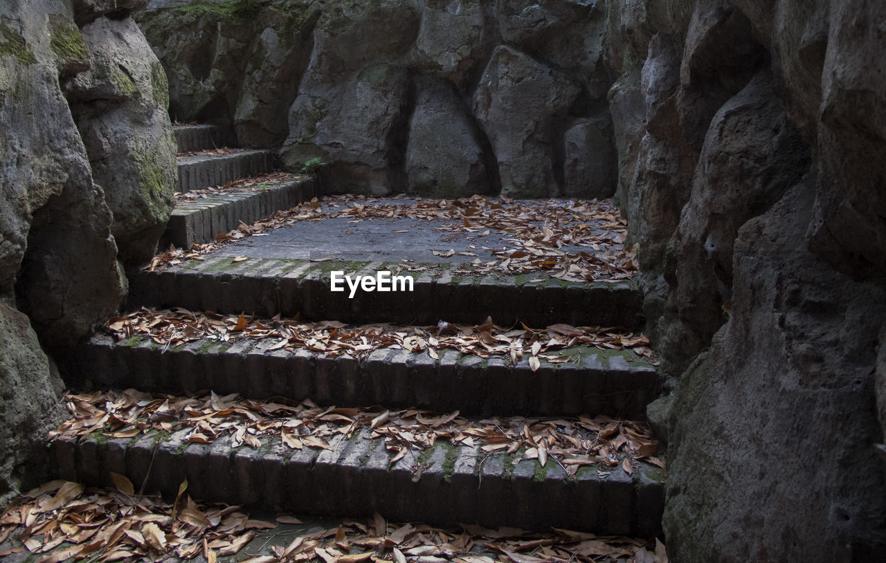 Close-up of steps in rock