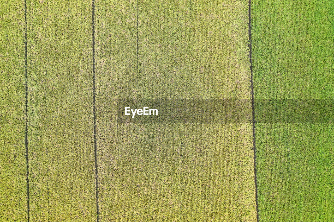 Aerial view of agricultural landscape