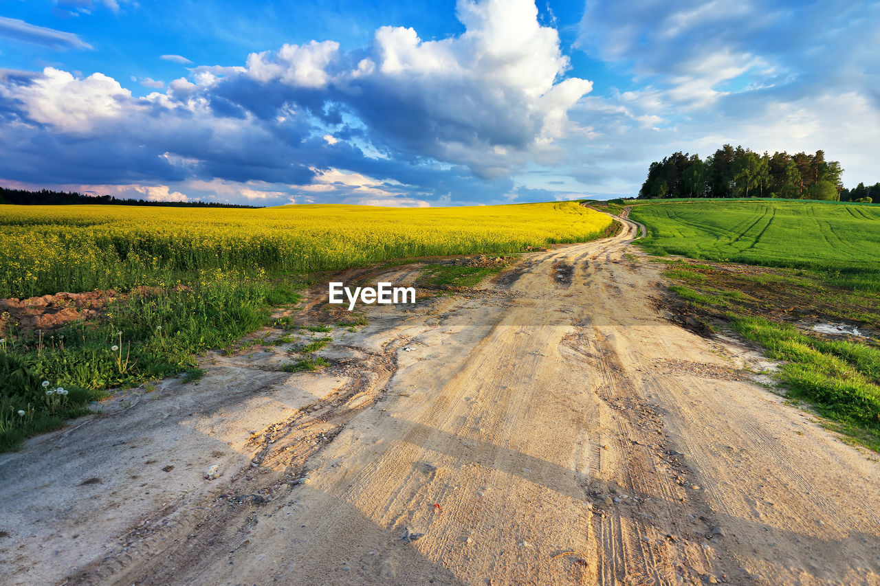 AGRICULTURAL FIELD AGAINST SKY