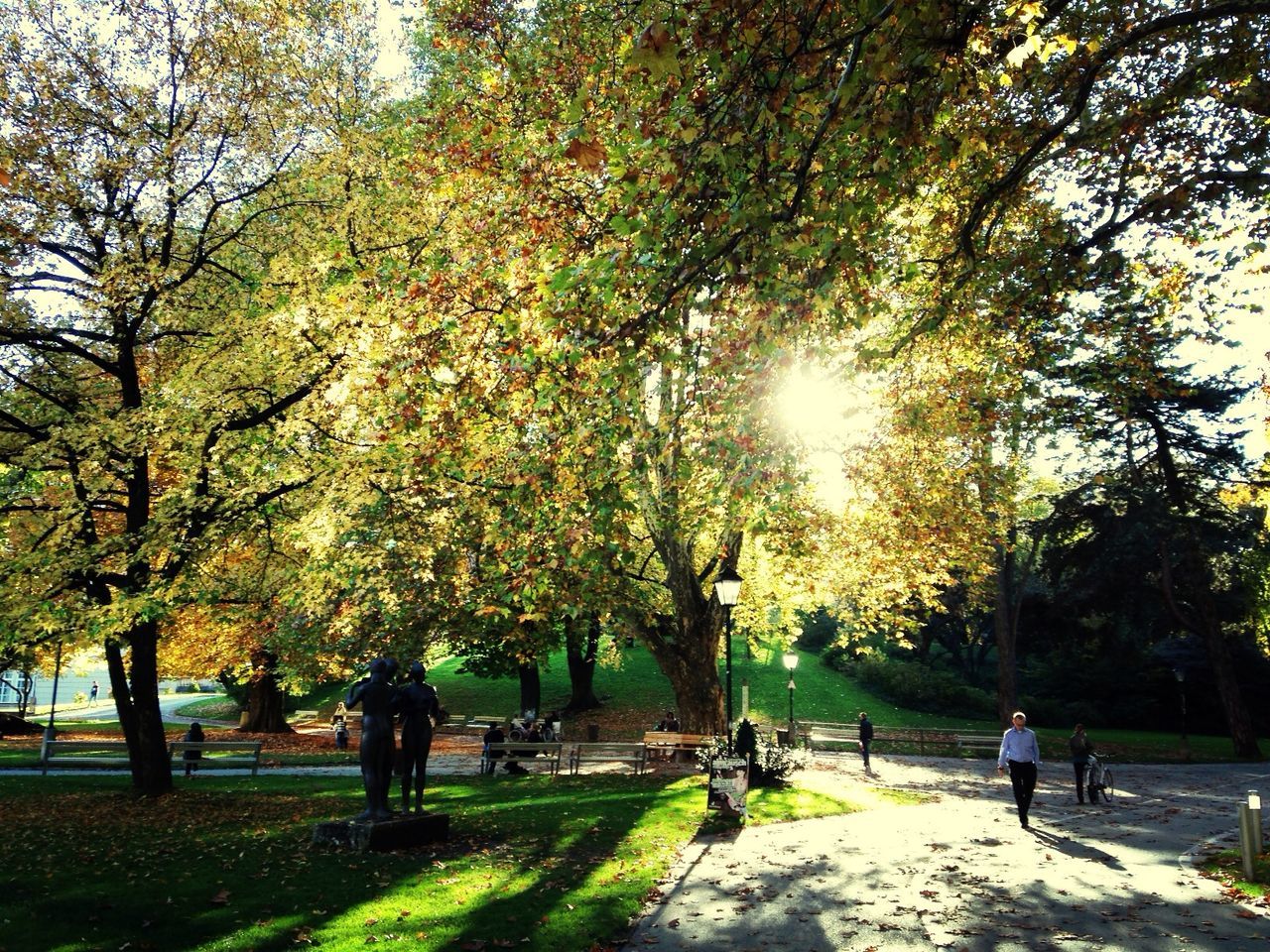 People walking in park along trees