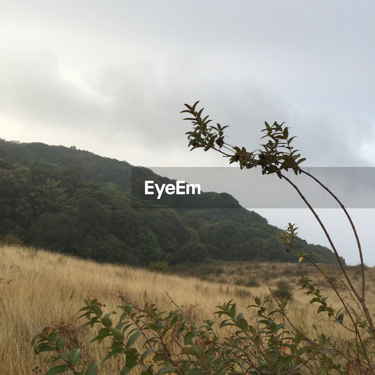 SCENIC VIEW OF MOUNTAINS AGAINST CLOUDY SKY