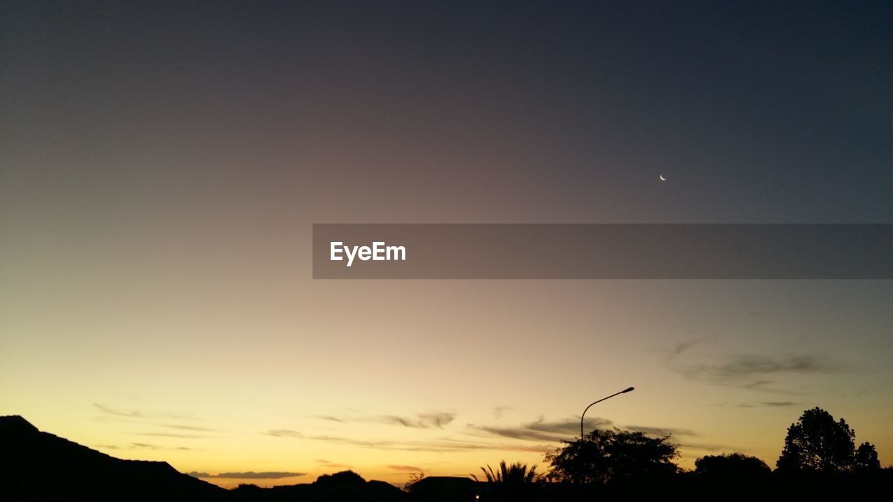 SILHOUETTE OF TREES AT SUNSET