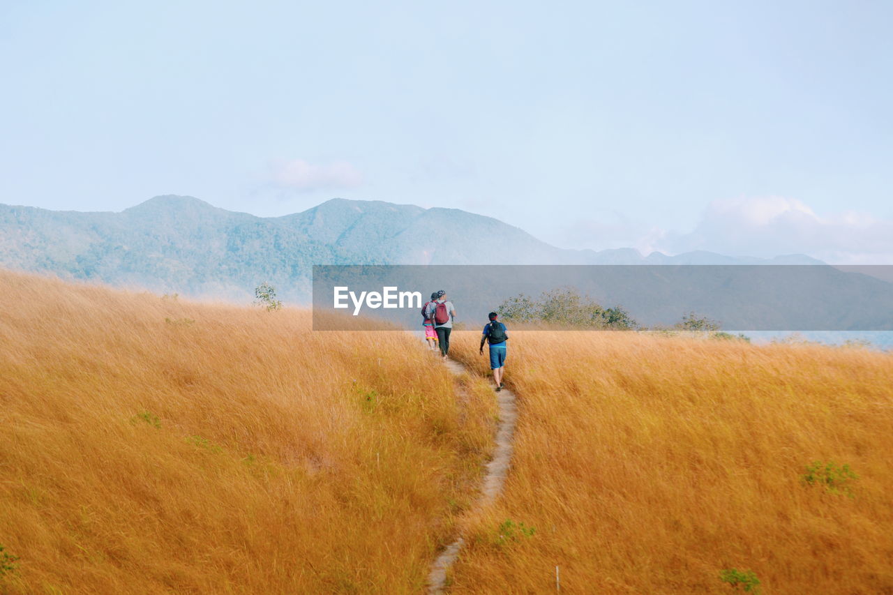 Rear view of friends walking on grassy field against sky