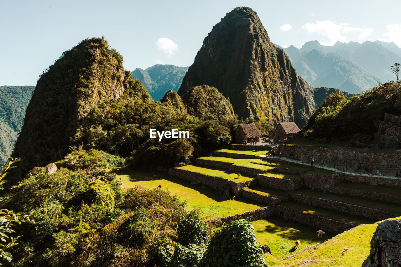 Wandering around machu picchu