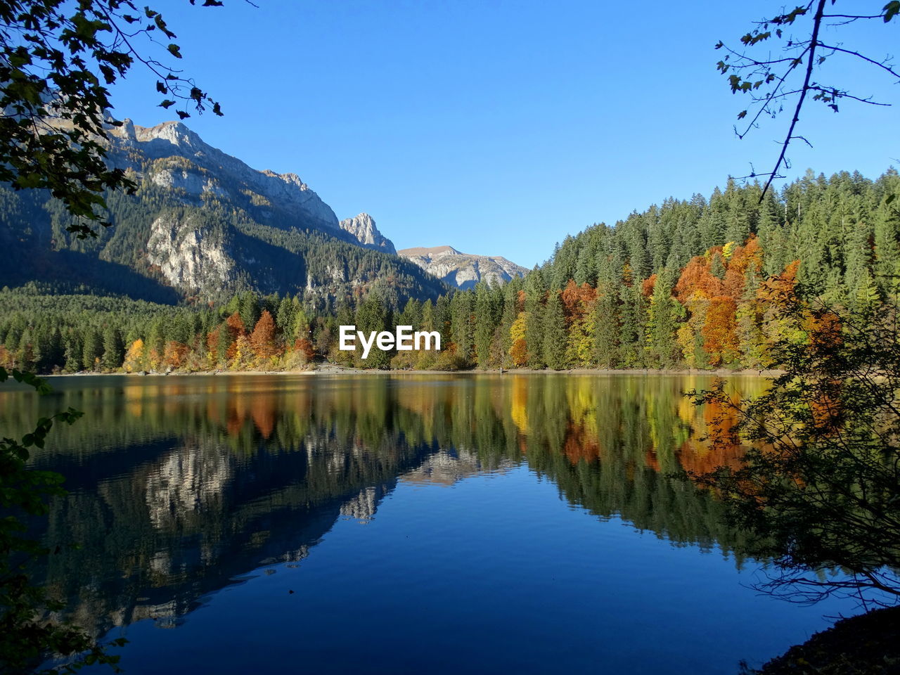 Scenic view of lake by trees against clear sky