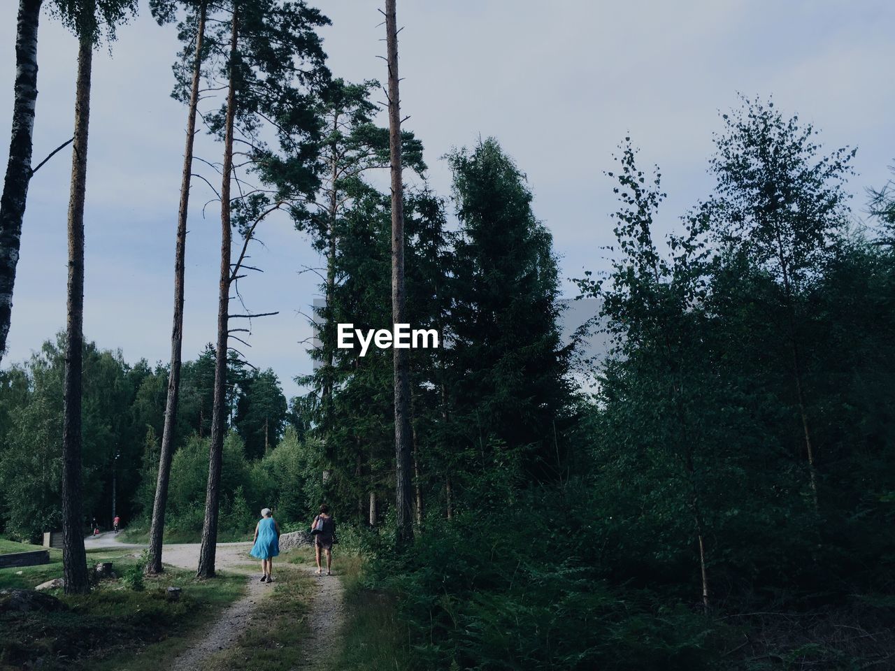 Rear view of women walking on road amidst trees