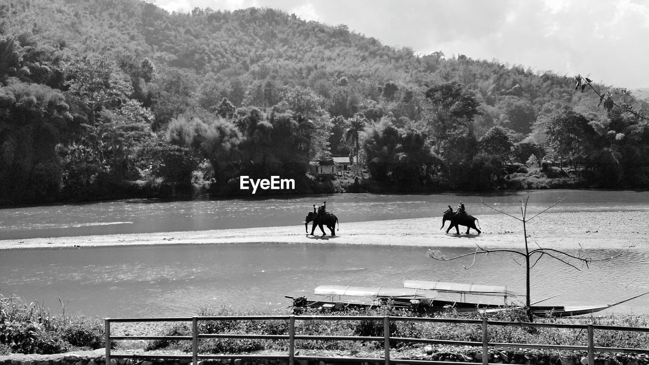 PEOPLE RIDING BICYCLES ON SHORE