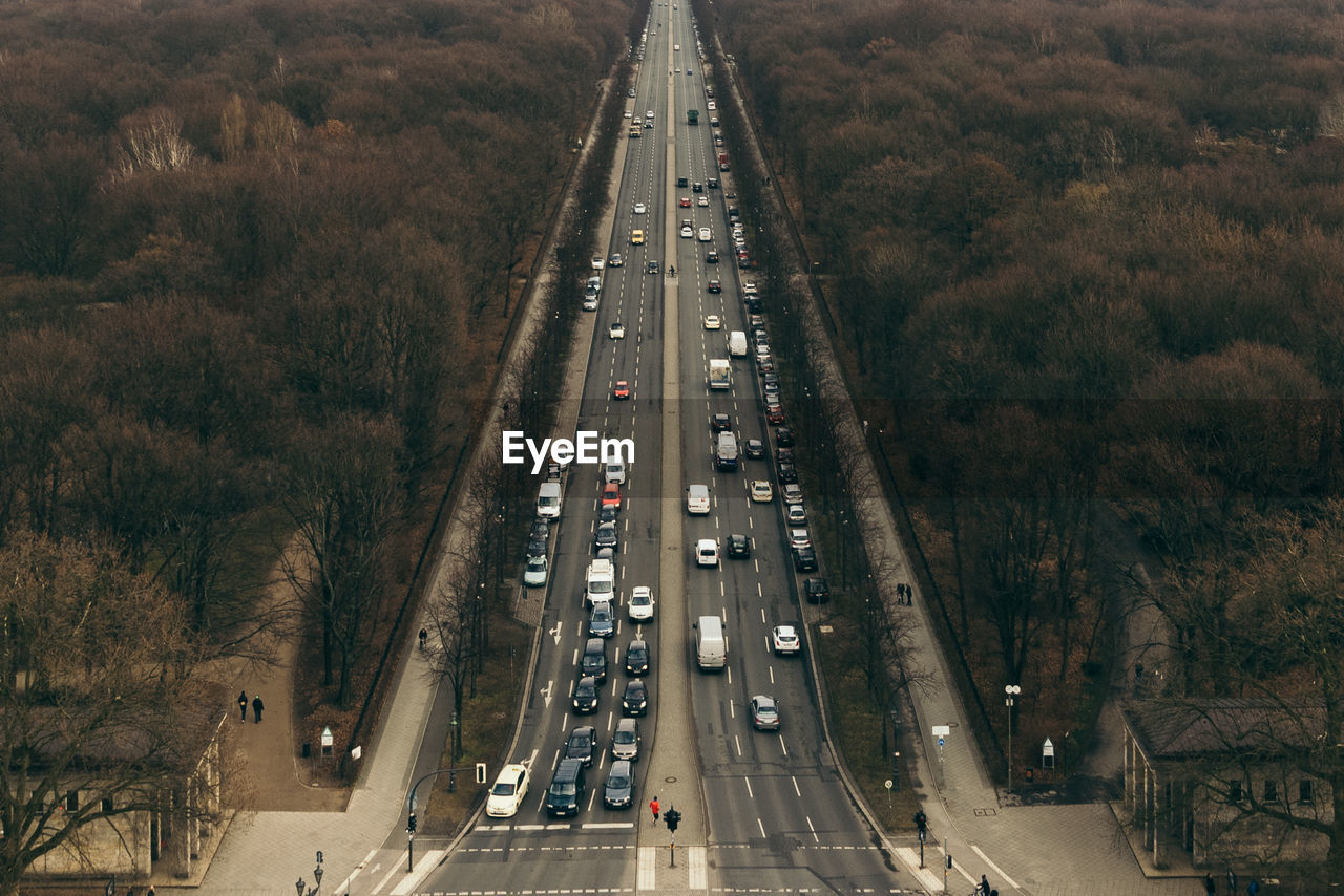 Cars moving on road amidst trees