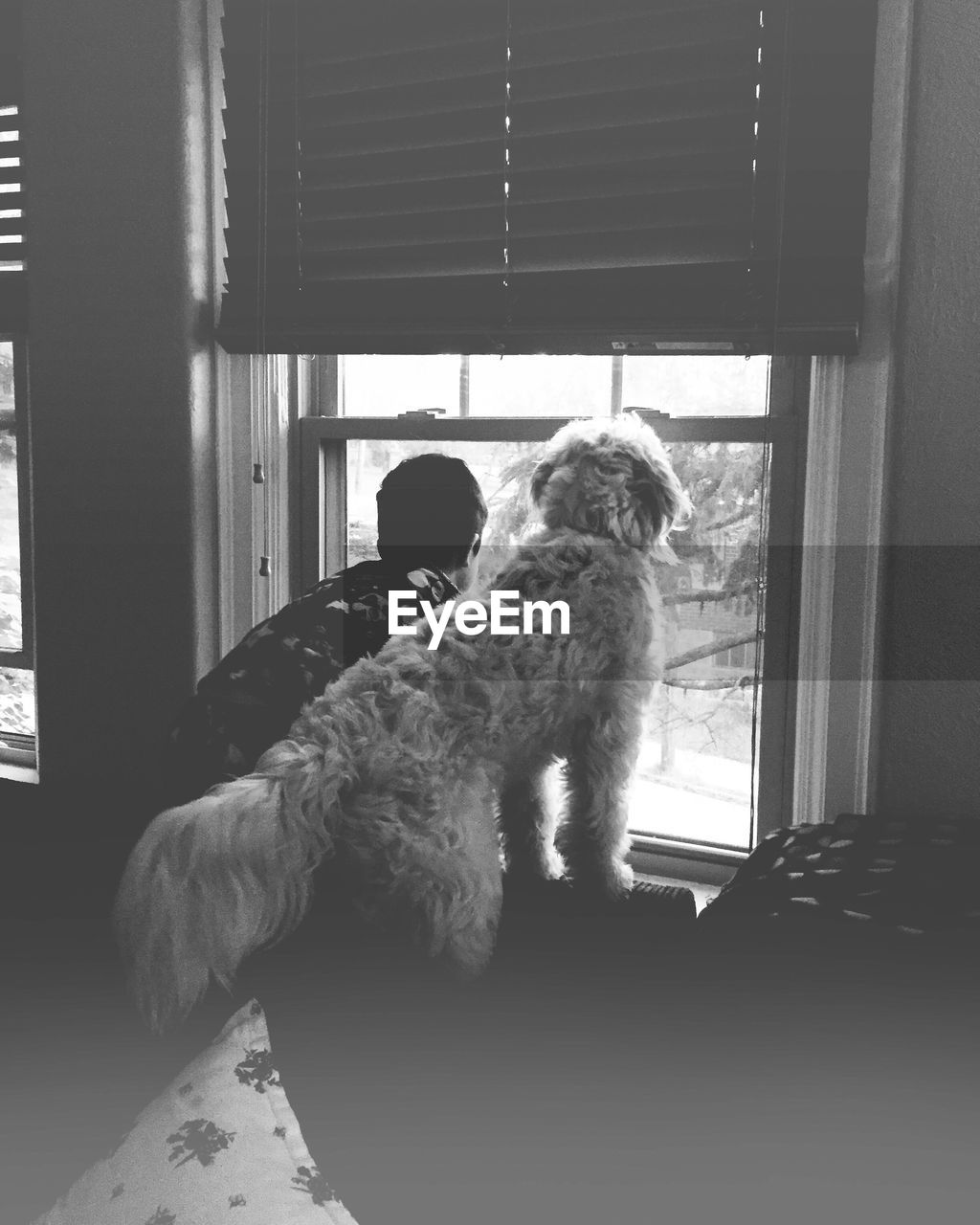 Boy and dog looking through window at home