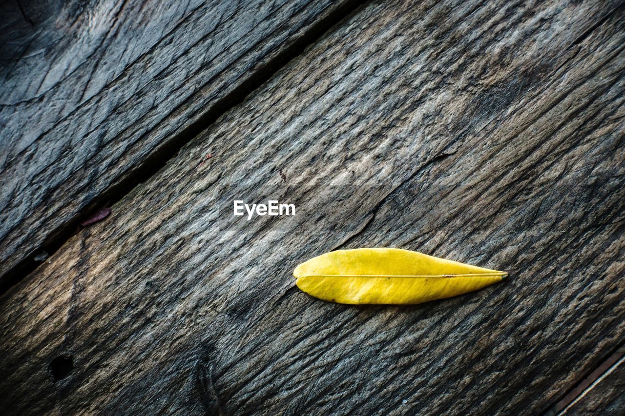 CLOSE-UP OF YELLOW LEAF ON WOODEN SURFACE