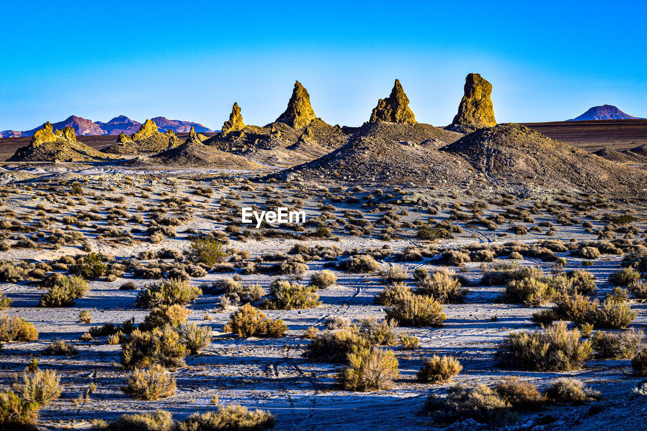Desert plants landscape with natural rock formations of trona pinnacles