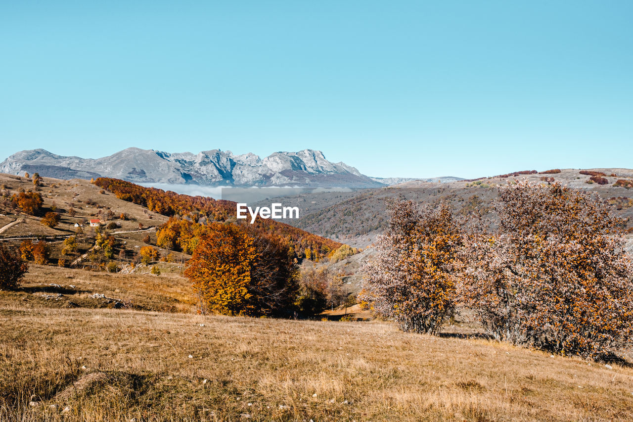 Autumn landscape in durmitor national park, montenegro. a warm color picture perfect for wallpaper.