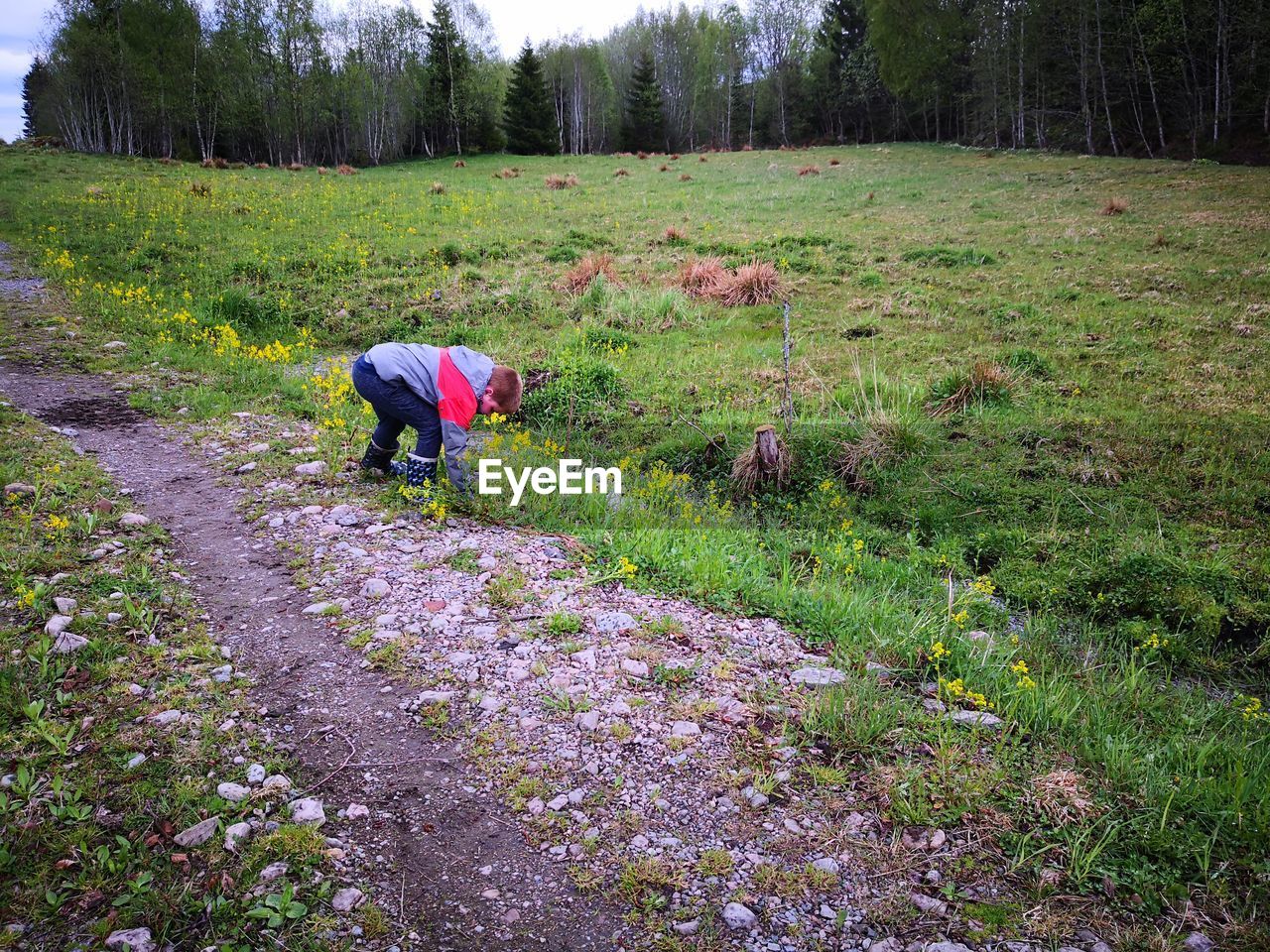 Boy picking flowers while standing on land