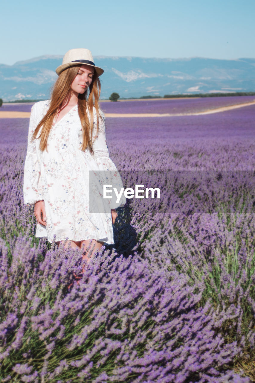 Young long hair woman in hat and dress among lavender fields in provence, france.