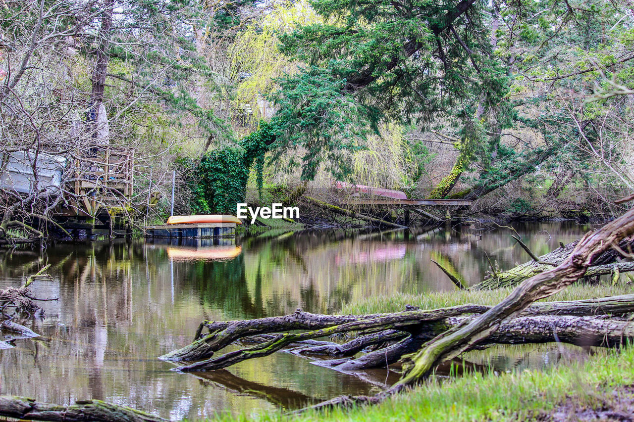 plant, tree, water, pond, nature, river, tranquility, wetland, beauty in nature, growth, wilderness, reflection, no people, day, stream, forest, swamp, tranquil scene, scenics - nature, woodland, land, green, natural environment, non-urban scene, outdoors, branch, nautical vessel, body of water, transportation, tree trunk, trunk, idyllic, wood, waterway, grass, built structure