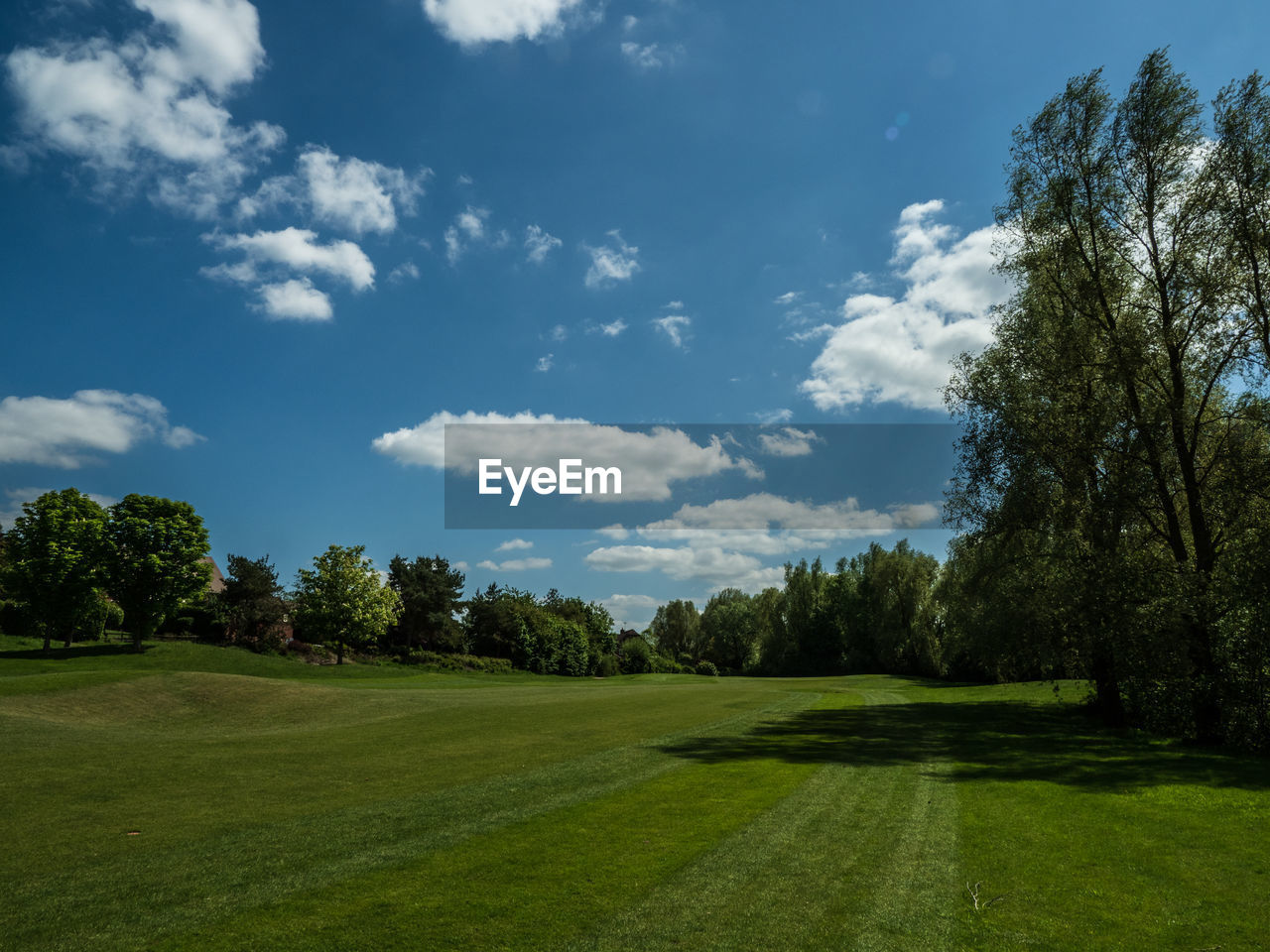 Empty golf course 