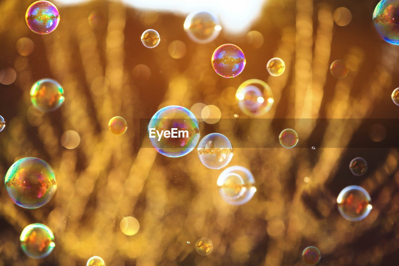 Close-up of bubbles flying during sunset