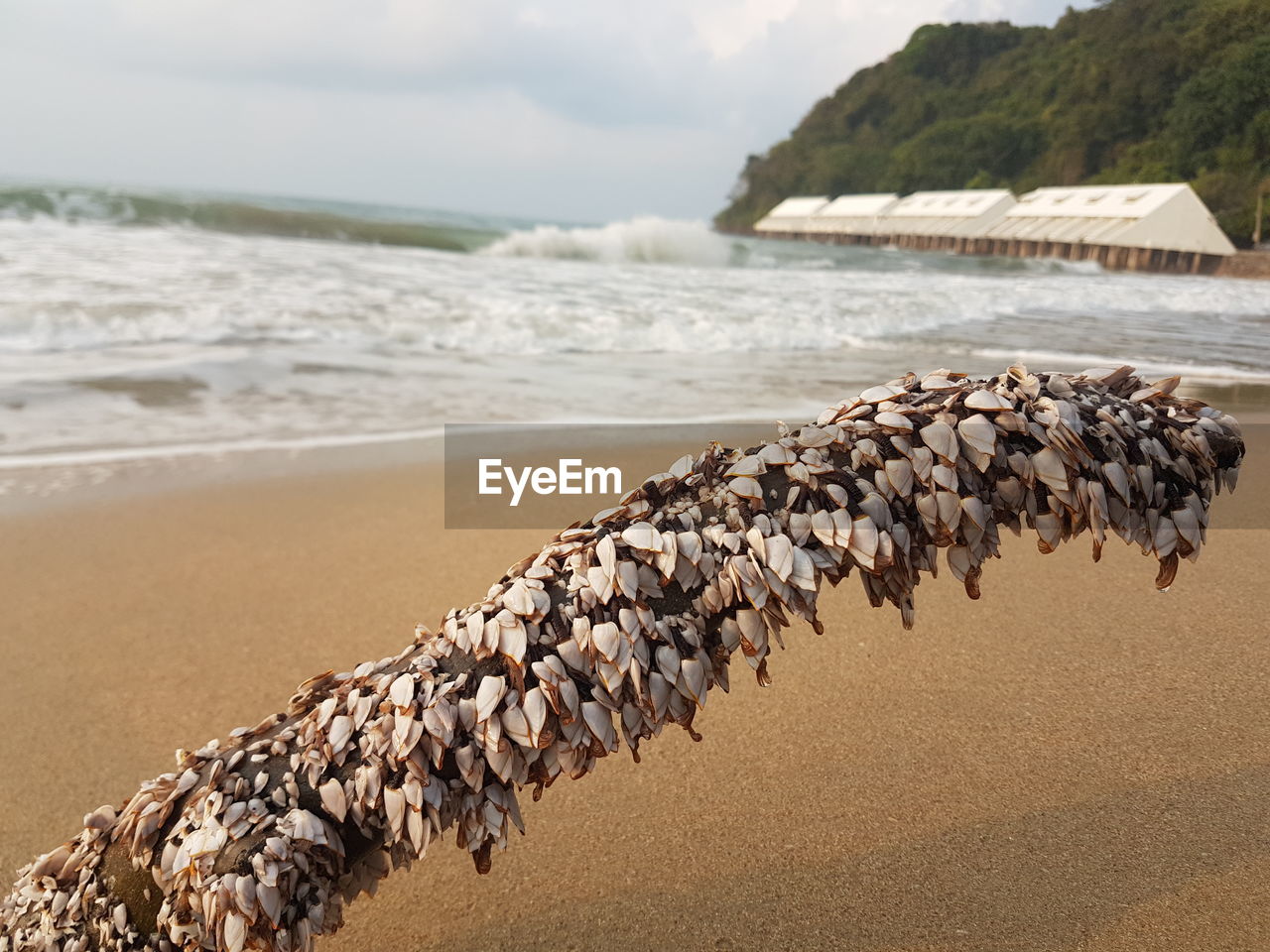 CLOSE-UP OF SHORE AGAINST SKY