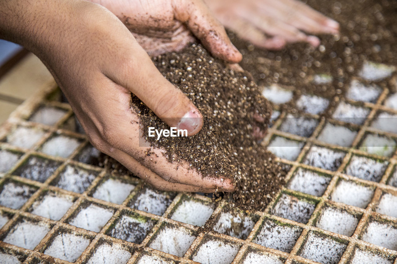 Cropped hands putting soils in seedling tray