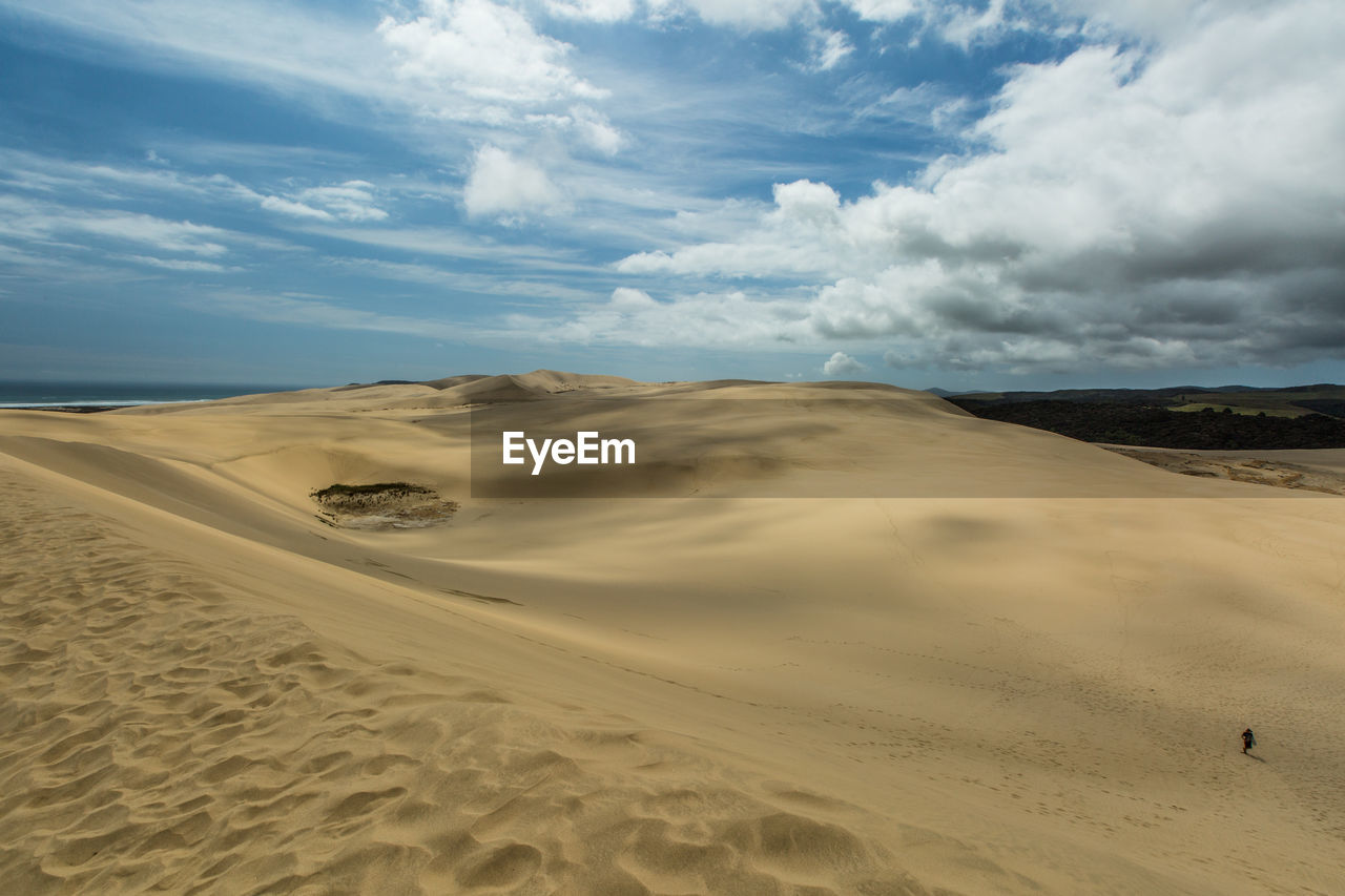 Sand dunes in desert against sky