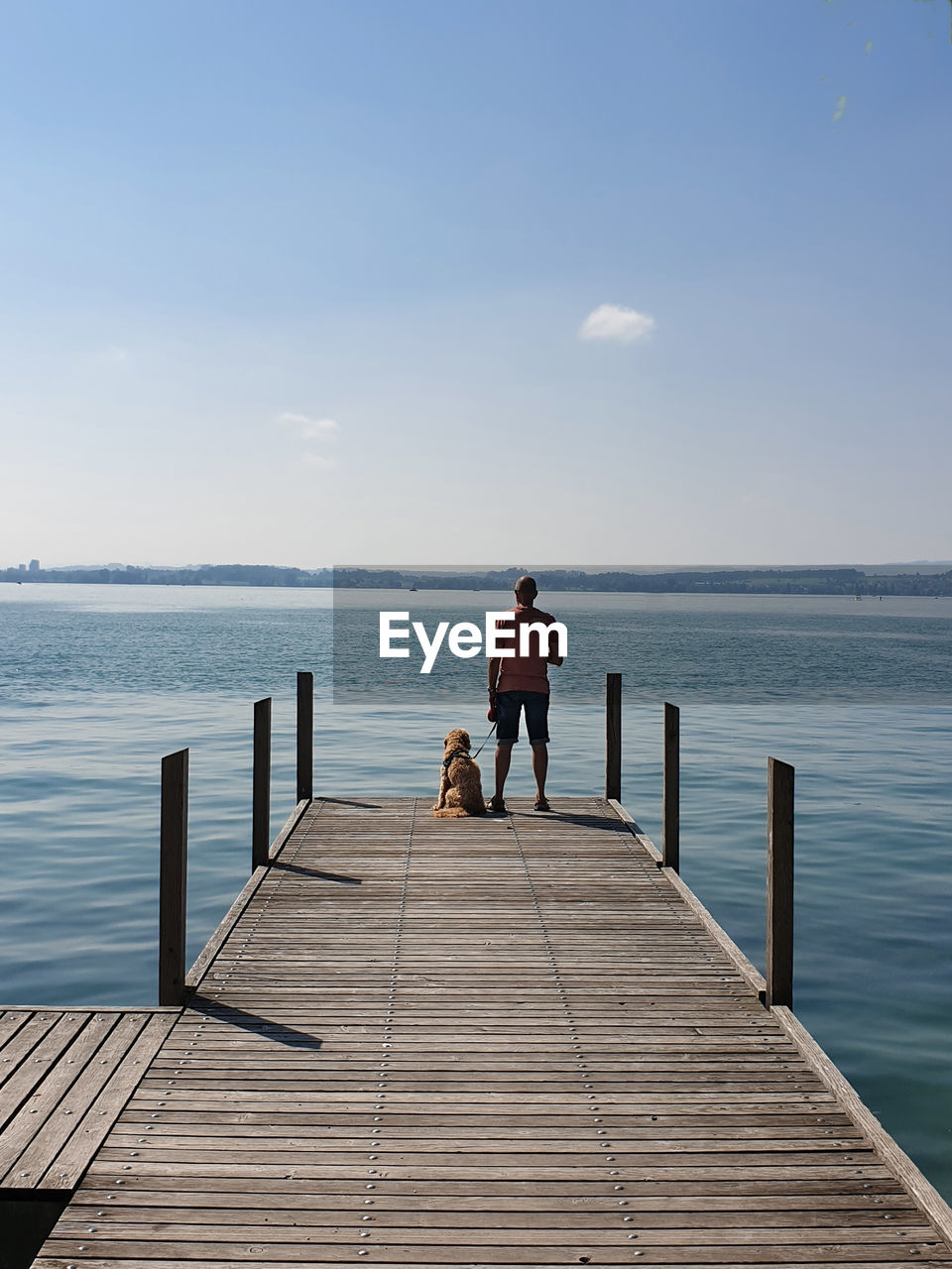 Rear view of man with dog on pier over sea against sky