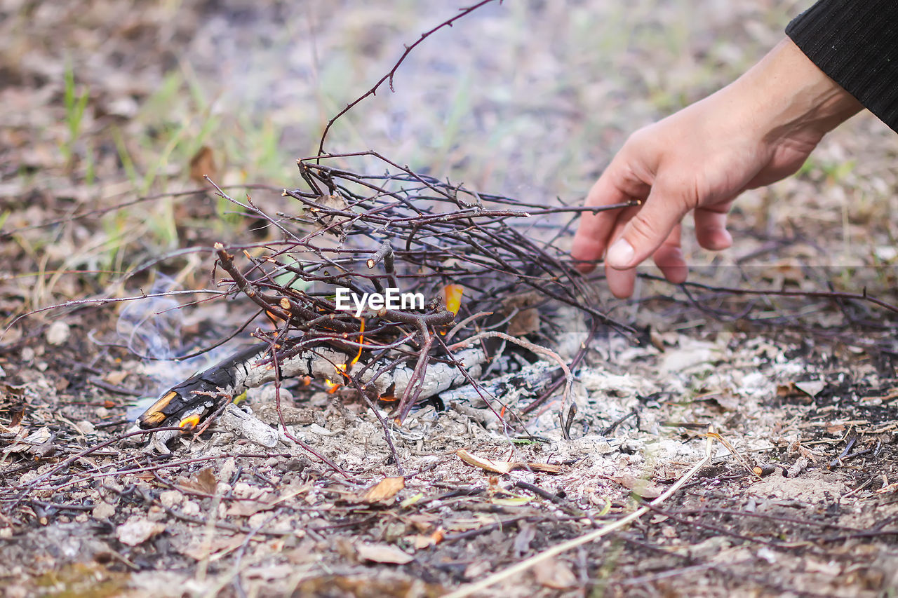 CLOSE-UP OF HUMAN HAND HOLDING SHELL ON LAND