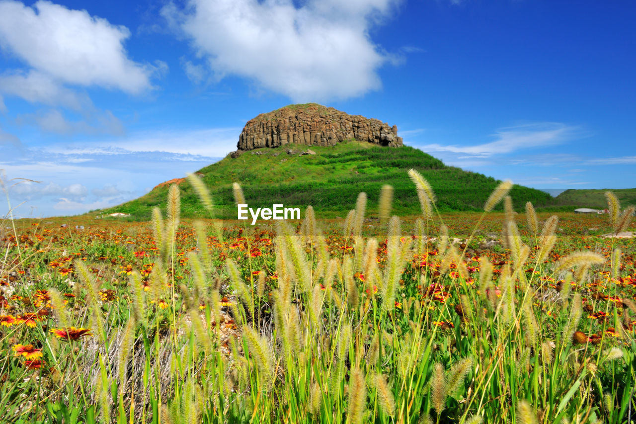 Scenic view of field against cloudy sky