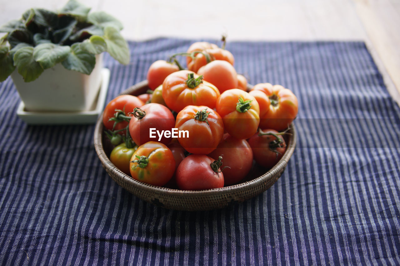 HIGH ANGLE VIEW OF TOMATOES IN BASKET