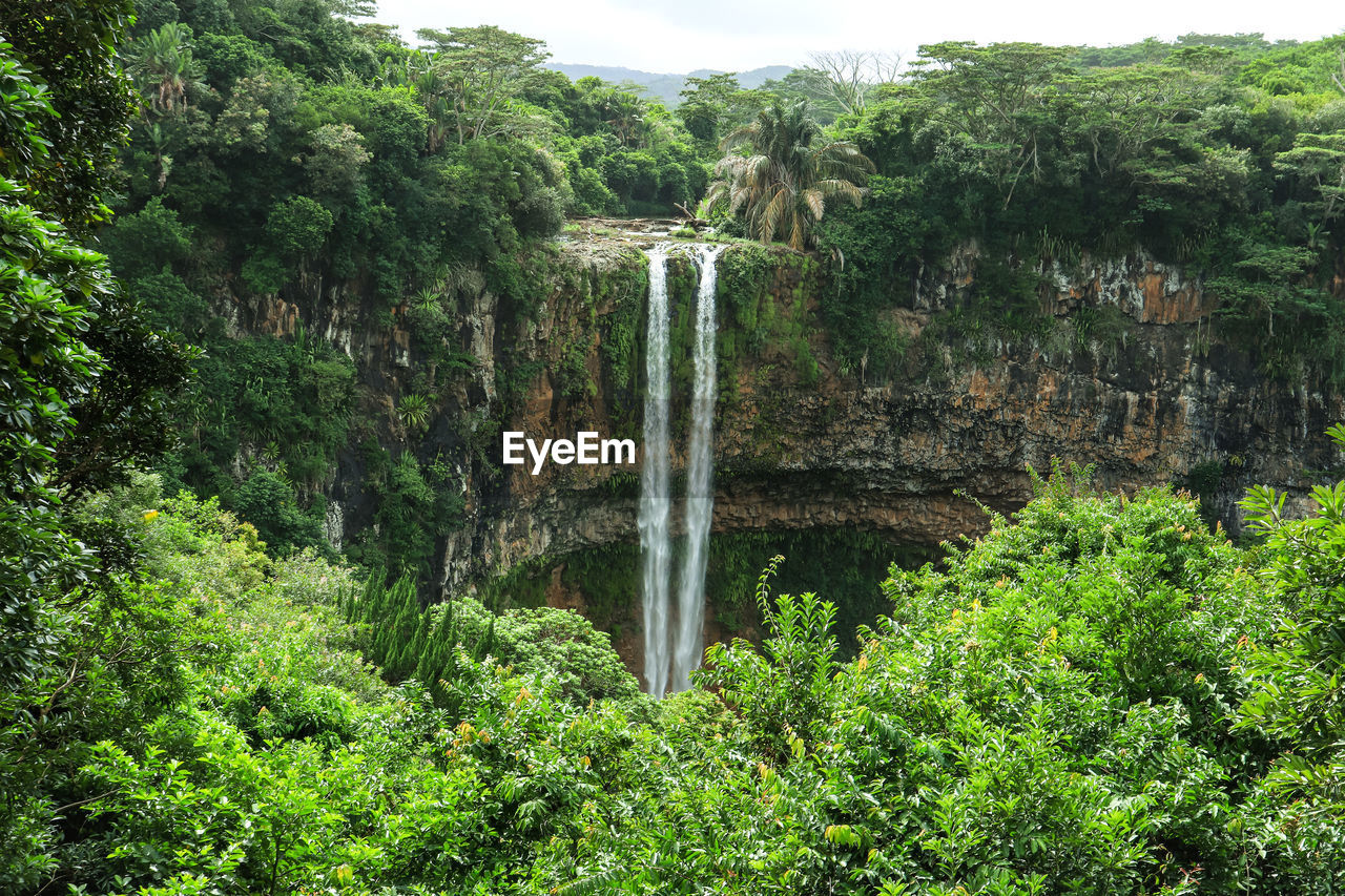 SCENIC VIEW OF WATERFALL