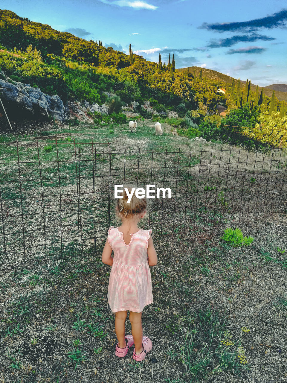 Full length of girl standing on grass