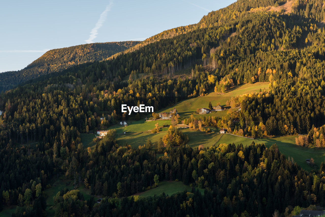 Scenic view of tree mountains against sky