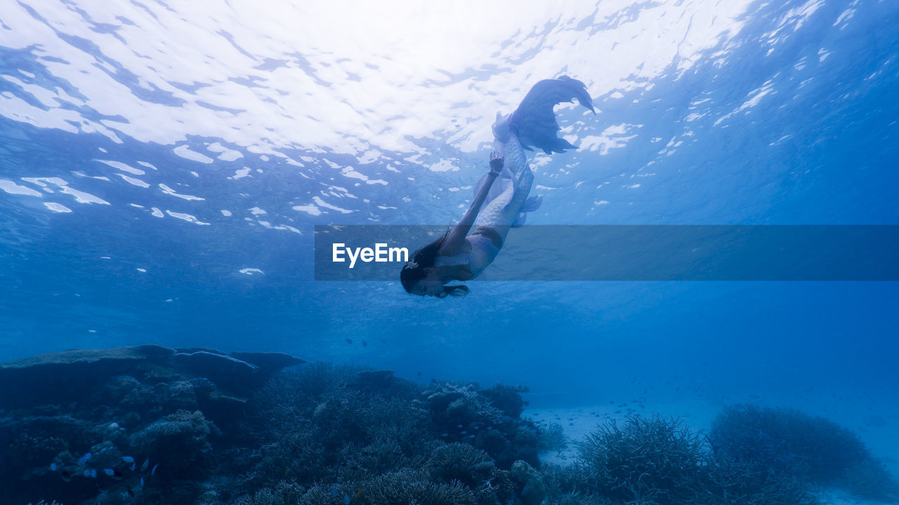Woman in mermaid costume swimming in sea